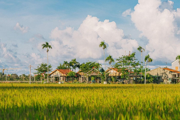 5D4N Exquisite Da Nang / Hue/ Hoi An / Ba Na Hill Tour - photo 30